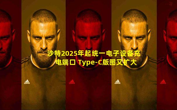 沙特2025年起统一电子设备充电端口 Type-C版图又扩大